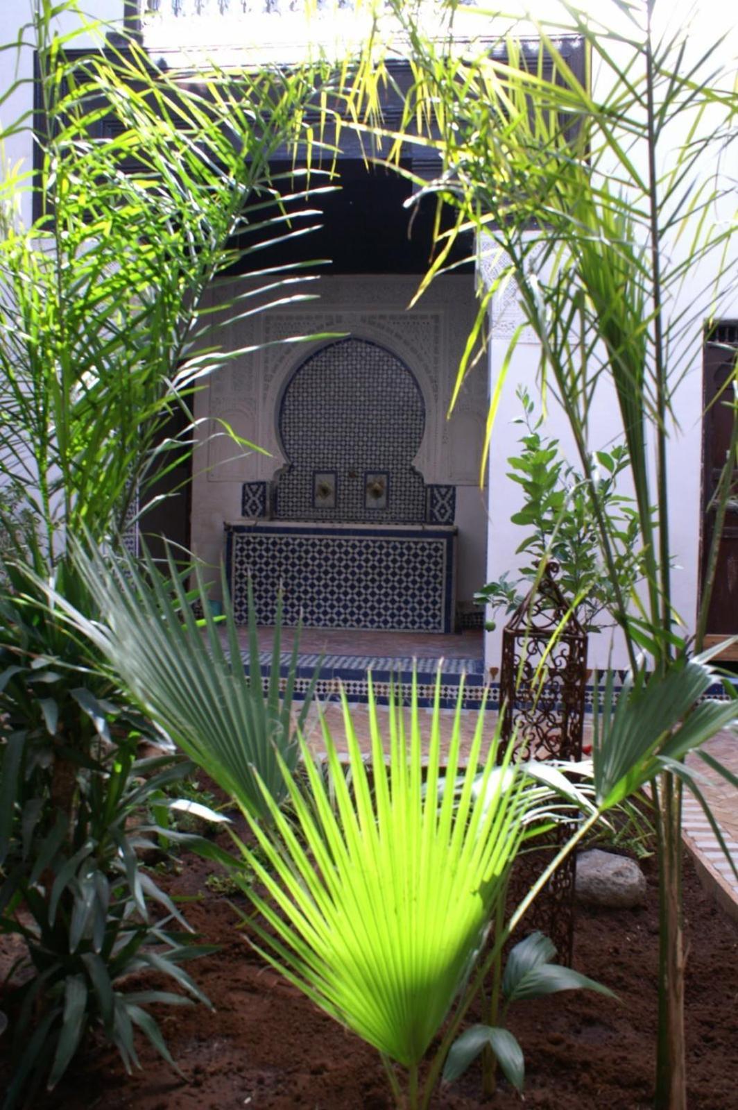 Riad Felloussia แมกเนส ภายนอก รูปภาพ