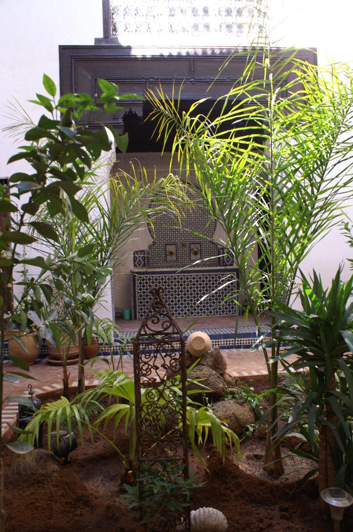 Riad Felloussia แมกเนส ภายนอก รูปภาพ